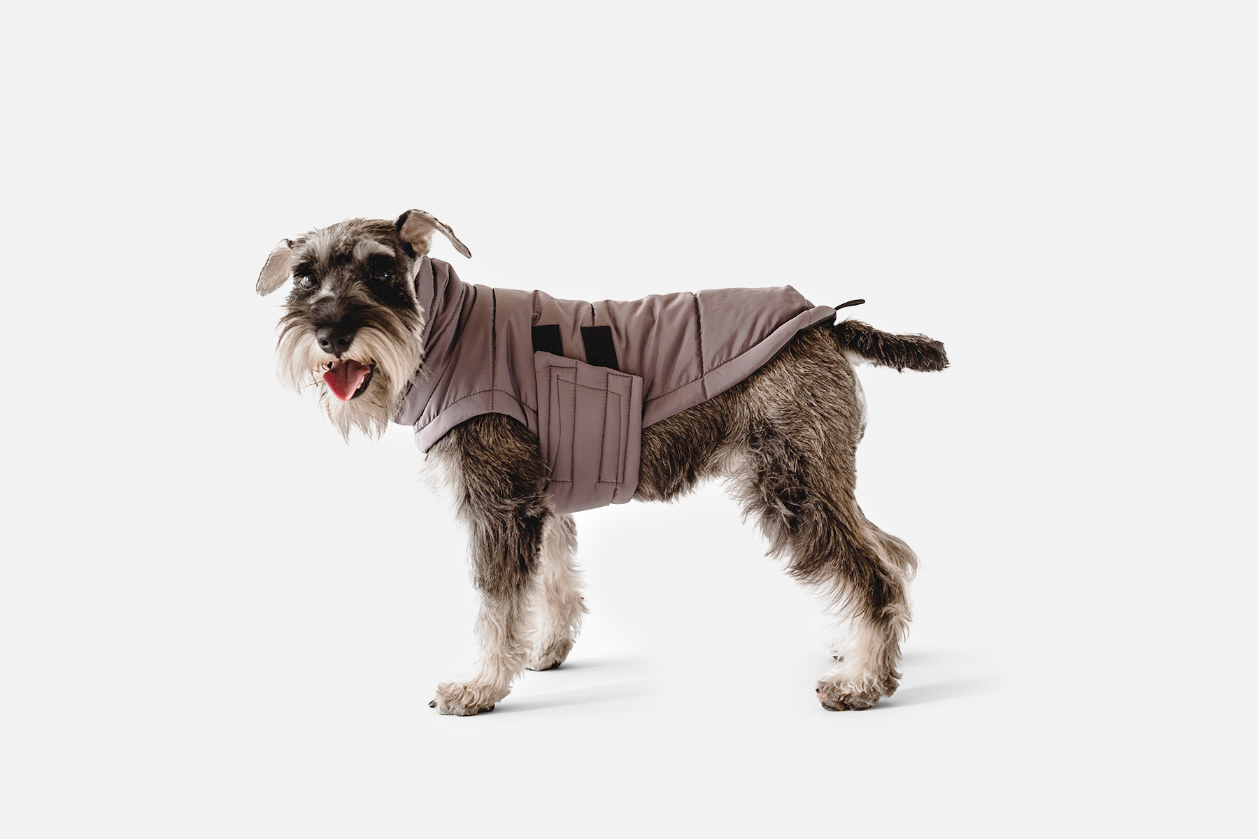 Bobby down jacket – warm clothes for your pet 0