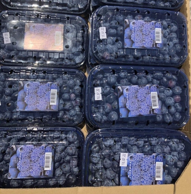 Fresh blueberries