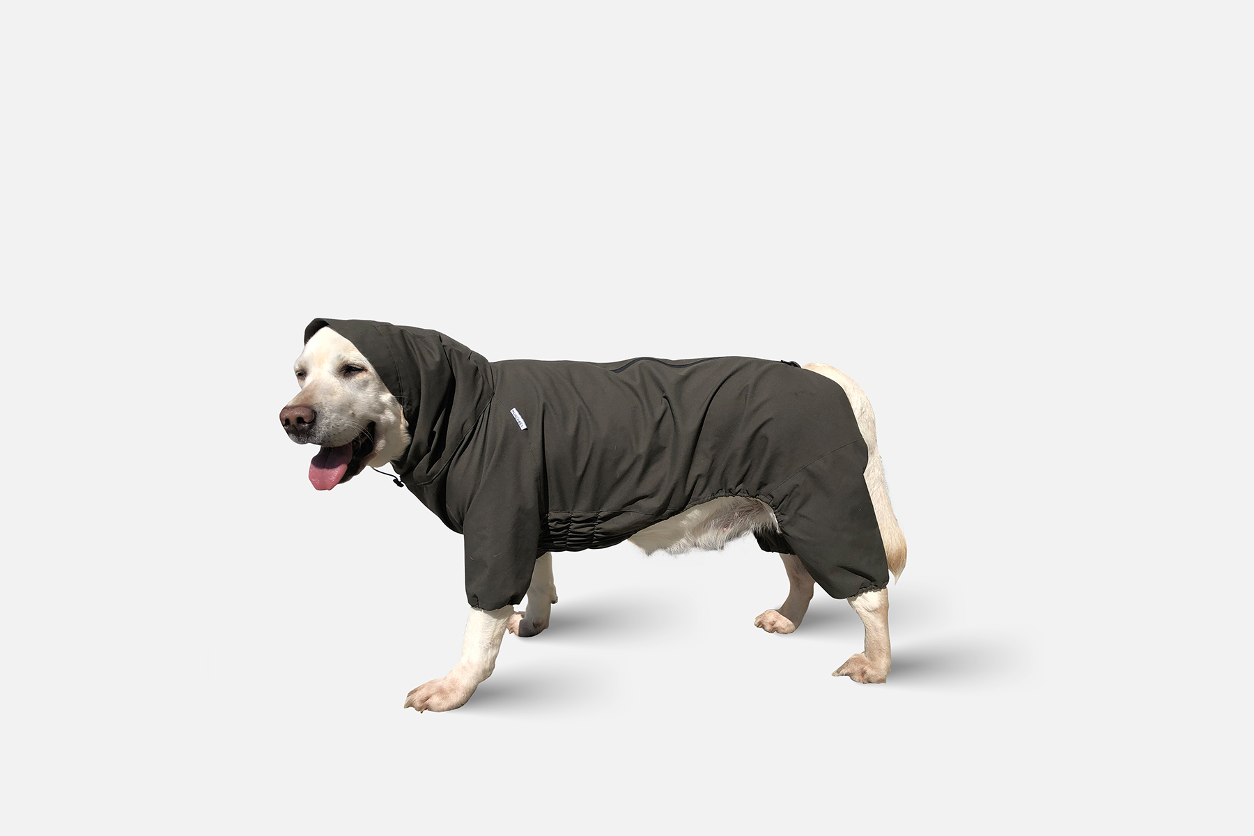 Travis overalls for dogs - protection in bad weather